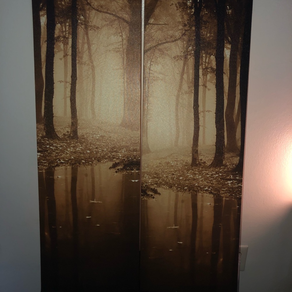 Canvas Art.